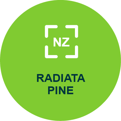 radiata-pine